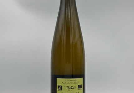 Pino Blanc Bio Expression 2024 (126 kr ved 6 stk)